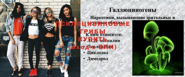 мдпв Кулебаки