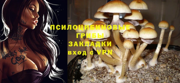 а пвп мука Кукмор