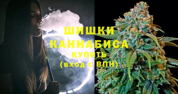мдпв Кулебаки