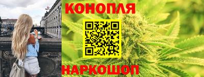 гашик Донской