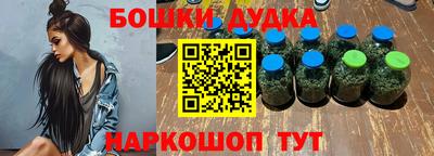 МДПВ Дубна