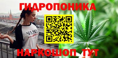 гашик Донской