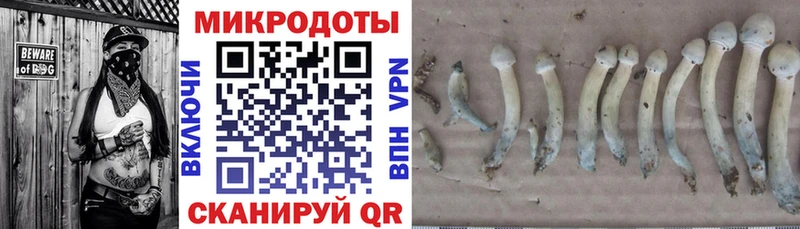 Псилоцибиновые грибы ЛСД  Нововоронеж 