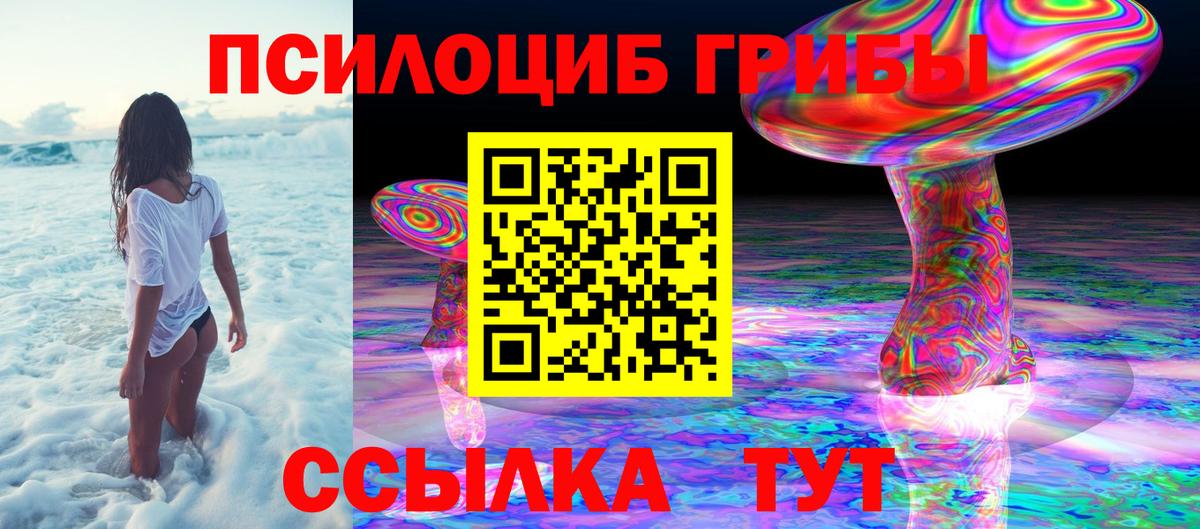 Псилоцибиновые грибы мухоморы  наркота  Вход с VPN  Нововоронеж  Псилоцибиновые грибы прущие грибы 