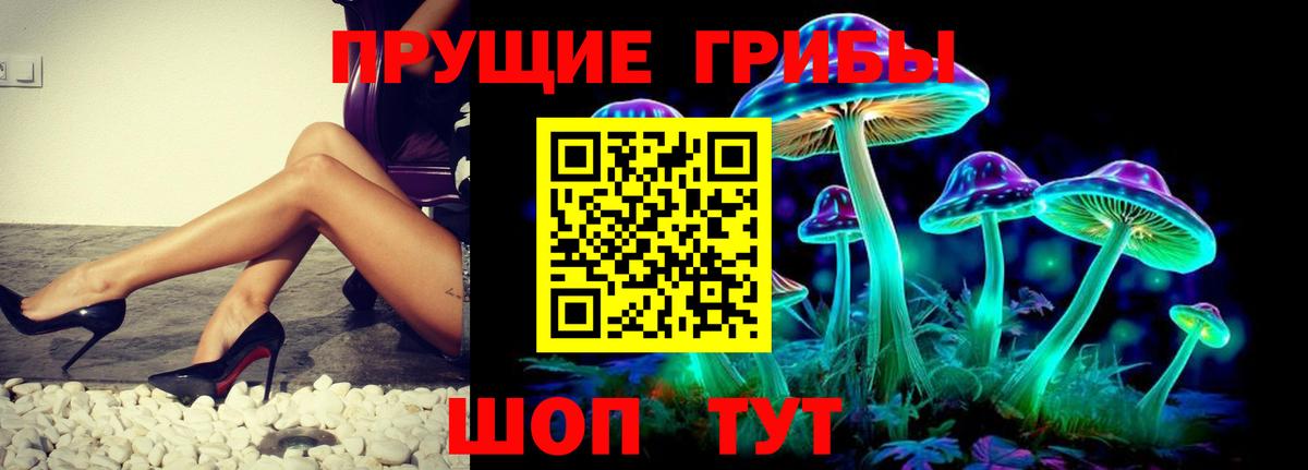 Галлюциногенные грибы Psilocybe  Нововоронеж 
